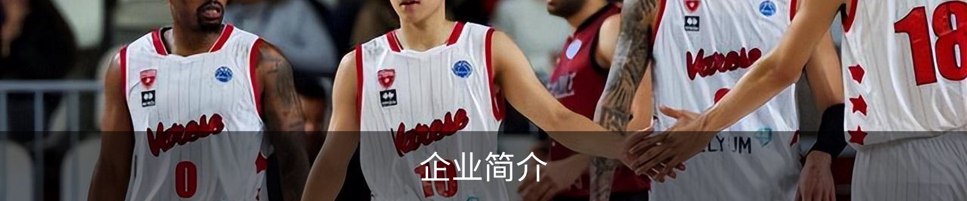 企业简介